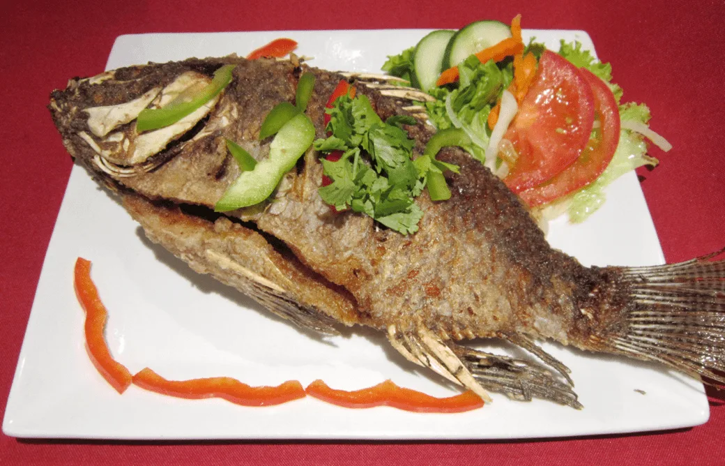 288- tilapia 288 - Tilapia frit